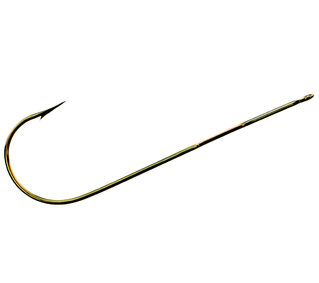 888BL